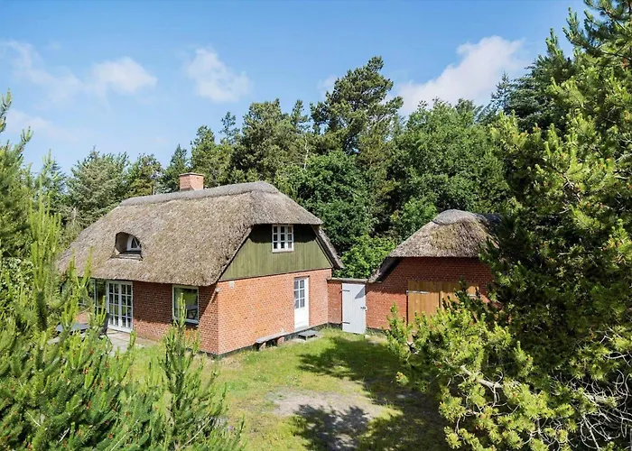 Vakantiehuis 10120-ulfborg-svollingvej-61